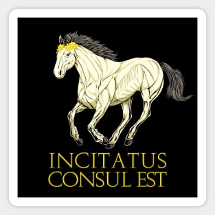 Incitatus Consul Est - Incitatus Magnet